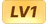 level