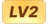level
